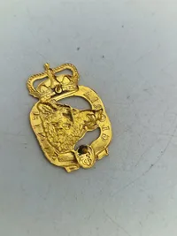 Lot danske regiments mærker mm.
