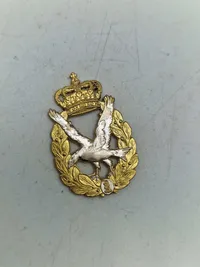 Lot danske regiments mærker mm.