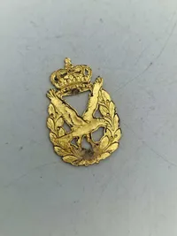 Lot danske regiments mærker mm.