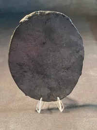 Originalt ikke færdiggjort badge fra Deutsche Jägerschaft