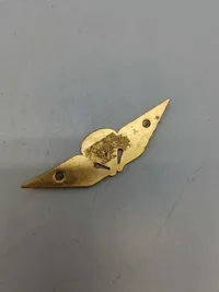 Lot diverse danske regiments mærker mm.