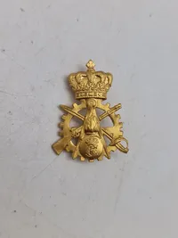 Lot diverse danske regiments mærker mm.