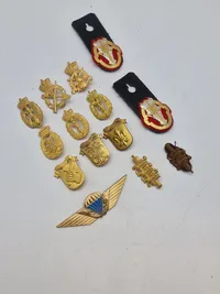 Lot diverse danske regiments mærker mm.
