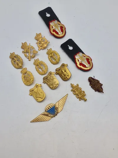 Lot diverse danske regiments mærker mm.