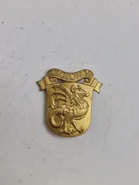 Lot diverse danske regiments mærker mm.