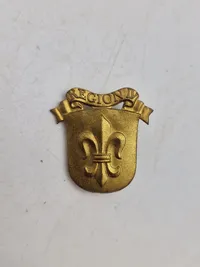 Lot diverse danske regiments mærker mm.