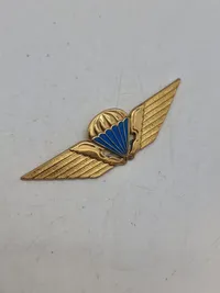Lot diverse danske regiments mærker mm.