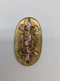 Lot danske regimentsmærker