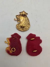 Lot danske regimentsmærker