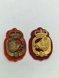 Lot prinsens livregiment mm.