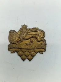 Lot danske regimentsmærker