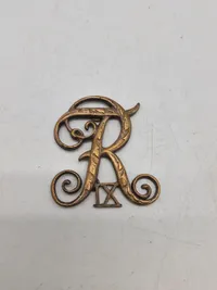 Lot diverse Rex’er