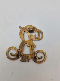 Lot diverse Rex’er