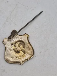 Lot kgl danske pins