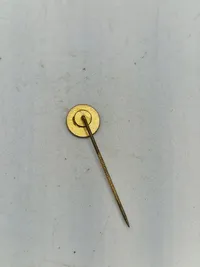 Lot diverse danske pins