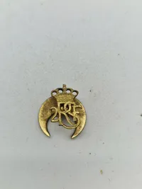 Lot diverse danske pins