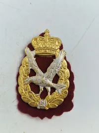Lot Hærens flyvetropper