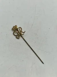 Lot originale danske militære pins  Gardehusar