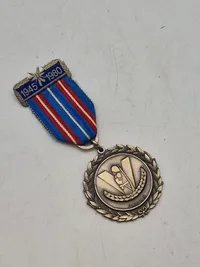 Original dansk befrielses medalje (march)