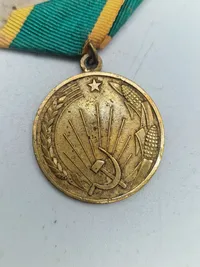Original Medal "For the Development of Virgin Lands"