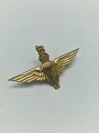 Parachute Regiment vinge
