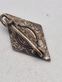 Original German Student Hitler Youth Badge