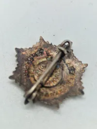 Original Reichsluftschutzbund (RLB) memberbadge