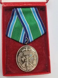 Originalt HJV anciennitetstegn - 25 år