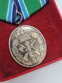 Originalt HJV anciennitetstegn - 25 år