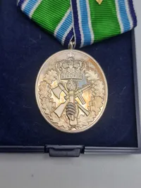 Originalt HJV anciennitettegn - 50 år