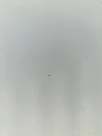 Original tysk Linoliumsfigur