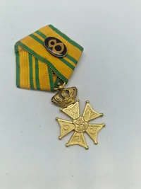Nijmegenmarchen medalje