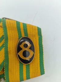 Nijmegenmarchen medalje