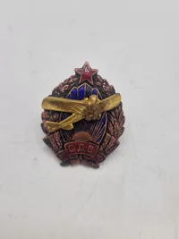 USSR venner er flyvevåbenet  badge