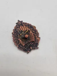 USSR venner er flyvevåbenet  badge