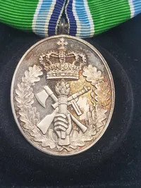 Hjv anncinitetstegn - 50 år