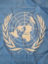 Originalt UN flag
