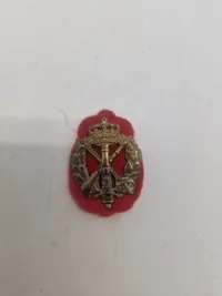 Lot danske regimentsmærker