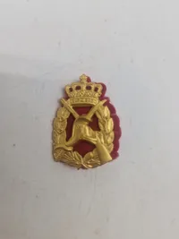 Lot danske regimentsmærker