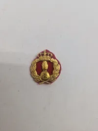 Lot danske regimentsmærker