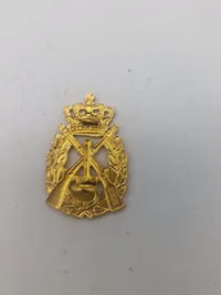 Lot danske regimentsmærker