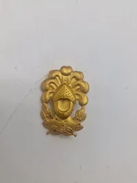 Lot danske regimentsmærker