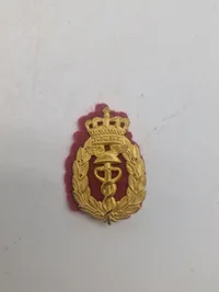 Lot danske regimentsmærker