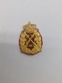 Lot danske regimentsmærker