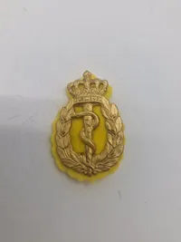 Lot danske regimentsmærker