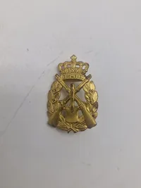 Lot danske regimentsmærker