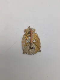 Lot danske regimentsmærker