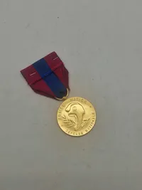 Original Fransk - National Defense Medal