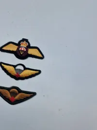 Lot originale faldskærmsvinger  Canada