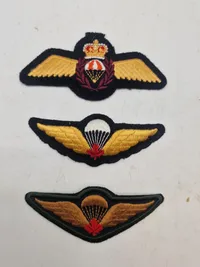 Lot originale faldskærmsvinger  Canada